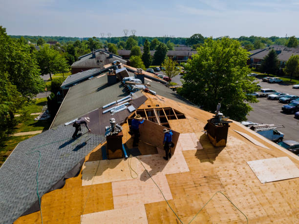 Trusted Roof Replacement service in Elk Creek, VA - Brentwood Metal Roofing